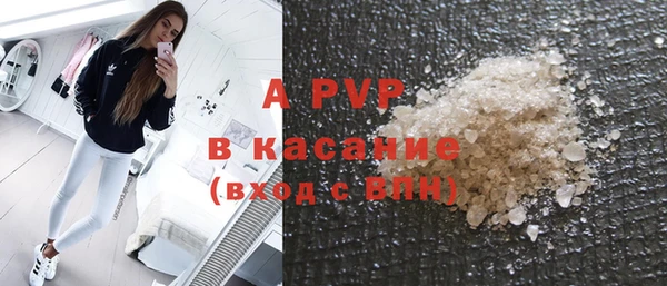 PSILOCYBIN Лихославль