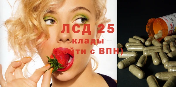 PSILOCYBIN Лихославль